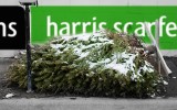 Harris Scarfe has collapsed in the lead up to Christmas.