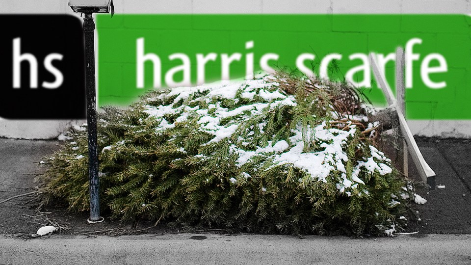 Harris Scarfe has collapsed in the lead up to Christmas.