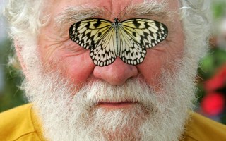 david bellamy dies