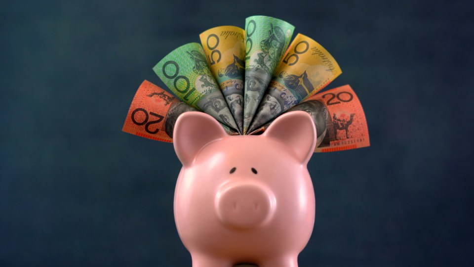 savings piggy bank