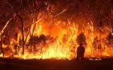 gospers mountain fire