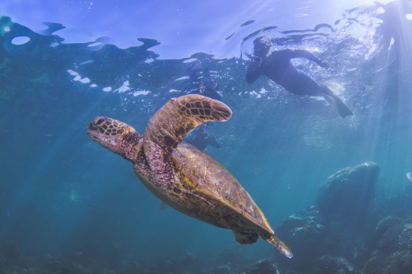 Australia's best beaches coral bay