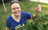 Home gardener