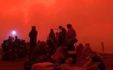 bushfire royal commission