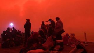 bushfire royal commission
