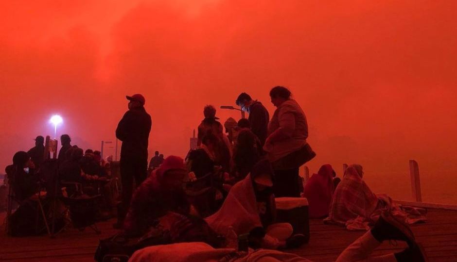 bushfire royal commission