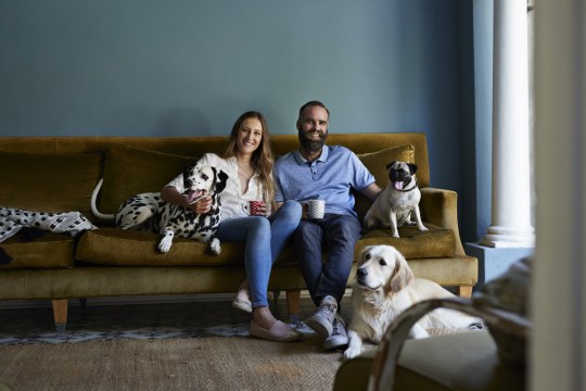 New laws will make it easier for tenants to own pets.