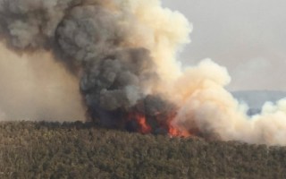 A ushfire front in the Blue Mountains.
