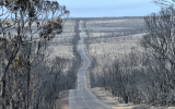 kangaroo-island-australia-bushfires
