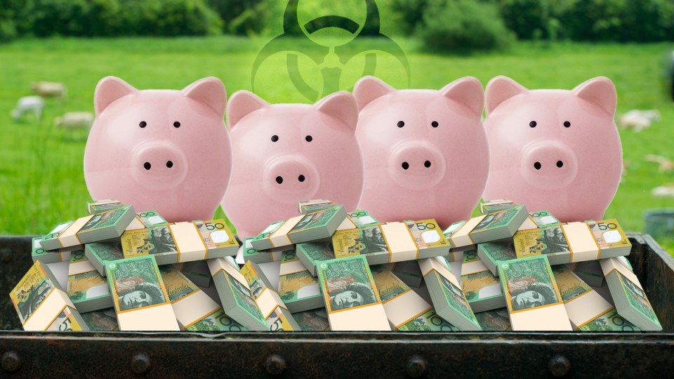 African Swine Fever is making barbecues more expensive.