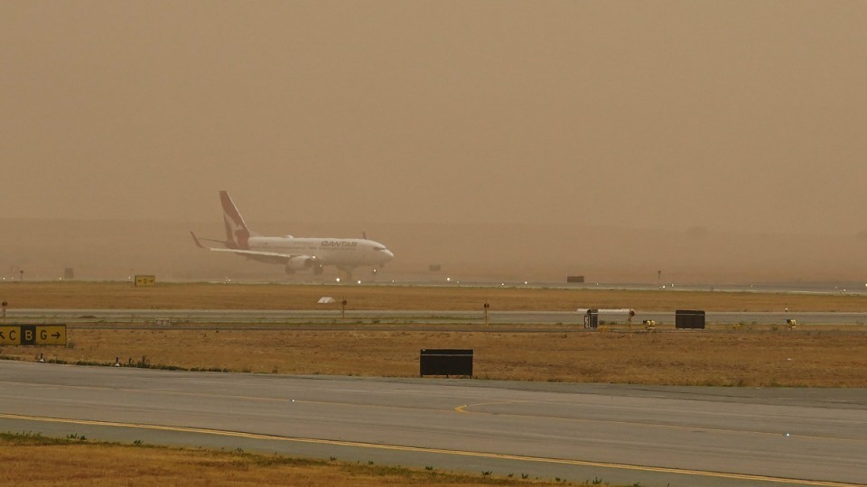 canberra airport fire beekeepers