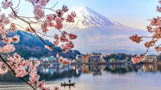 Kawaguchiko Lake and Sakura, Japan.