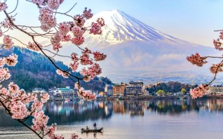 Kawaguchiko Lake and Sakura, Japan.