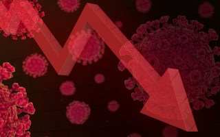 virus bushfires economy