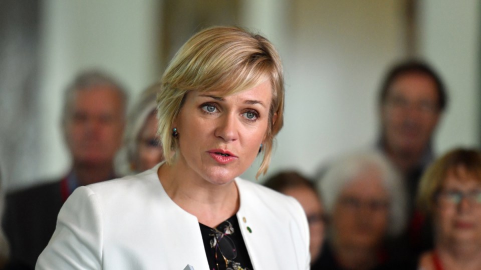zali steggall donation