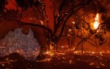 bushfire royal commission
