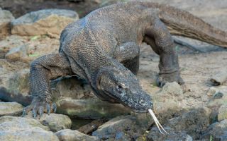 amazing places can't visit