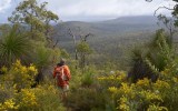 walking trails australia