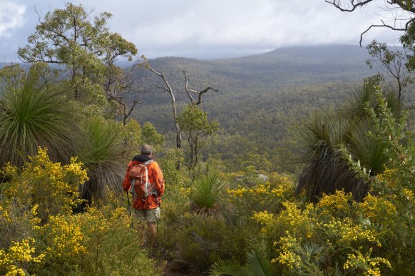 walking trails australia