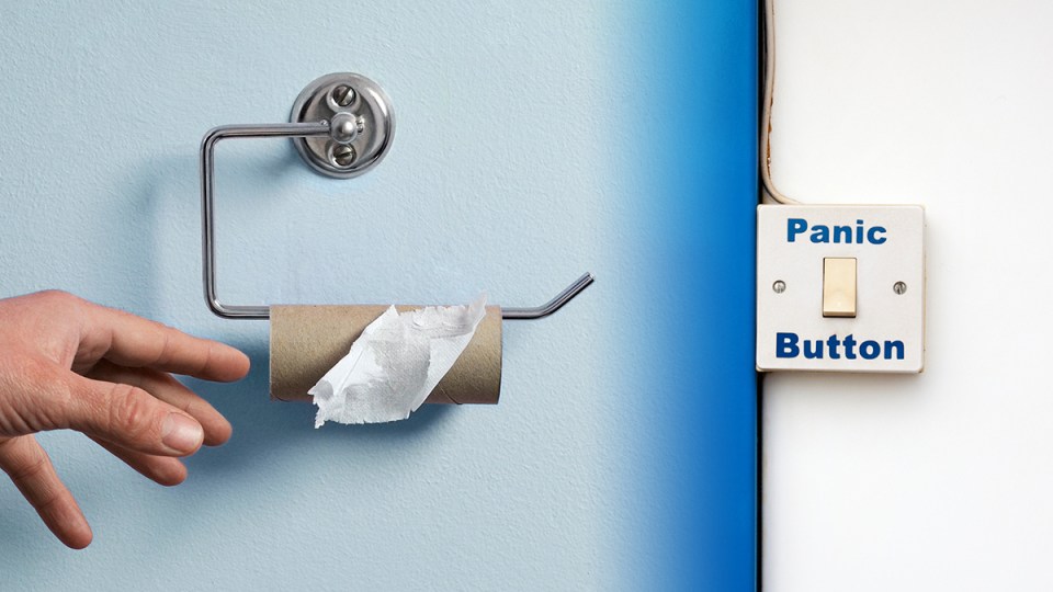 toilet paper alternatives