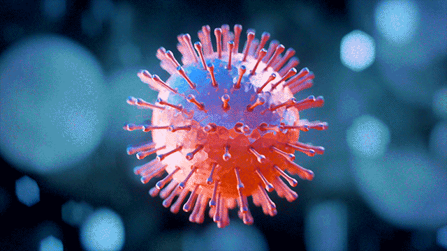 canberra coronavirus free