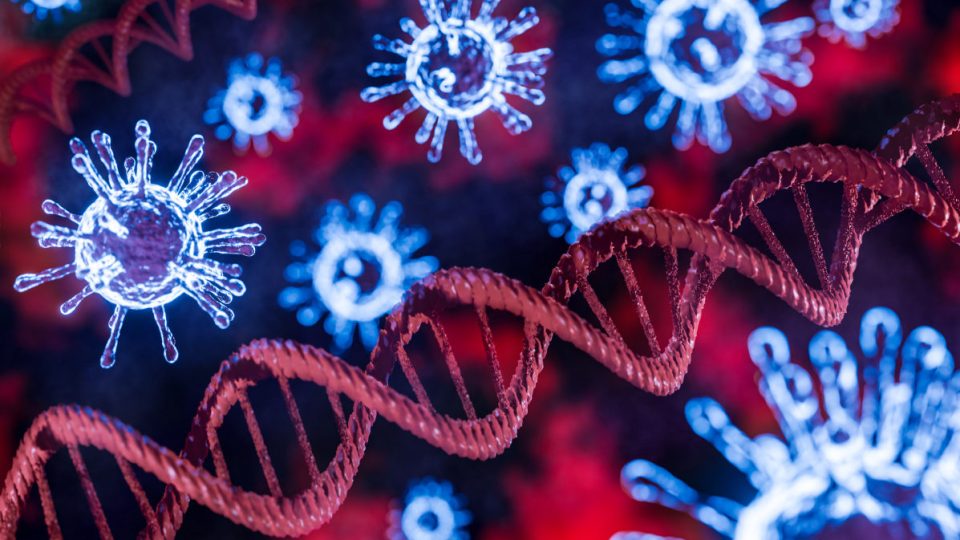 Stock image of the coronavirus and DNA strands.