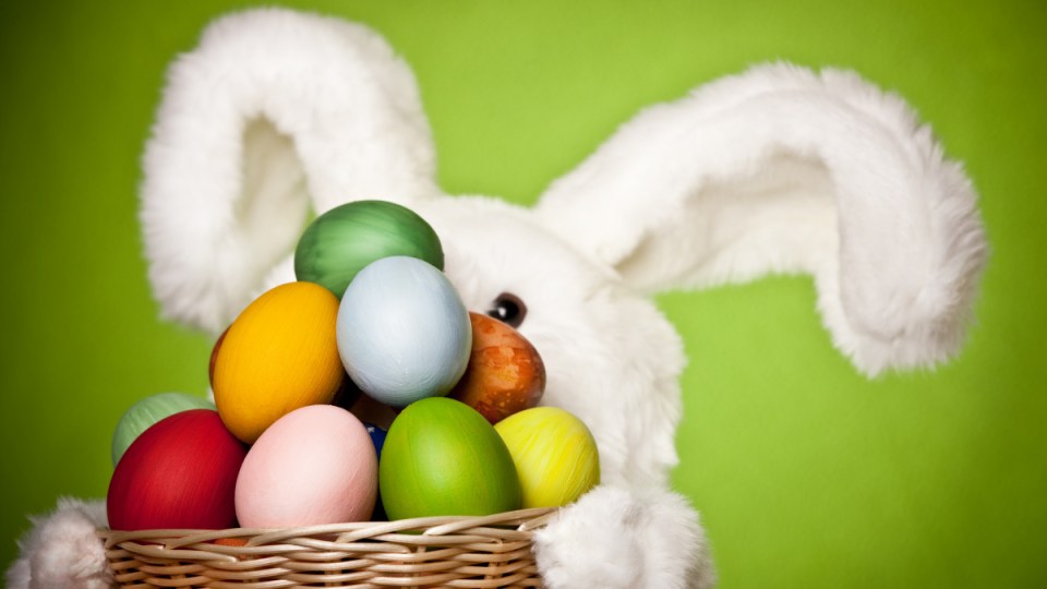 eater bunny coronavirus