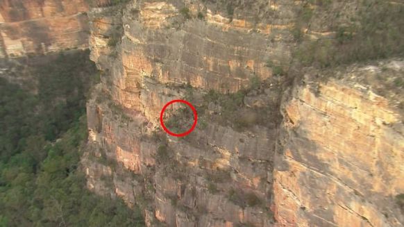 blue mountains climber rescue