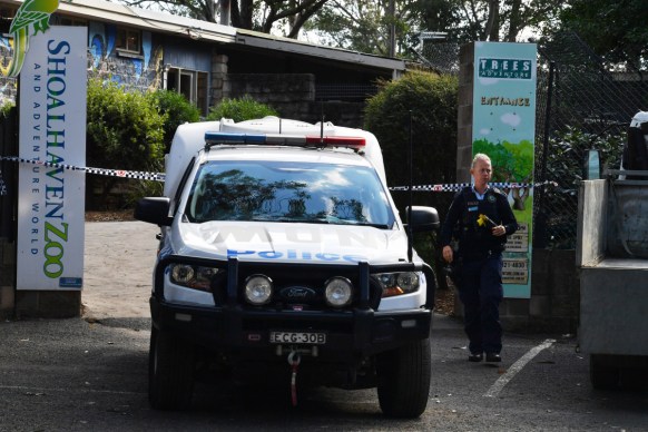 shoalhaven zoo lion attack