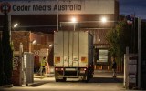 cedar meats cluster worst