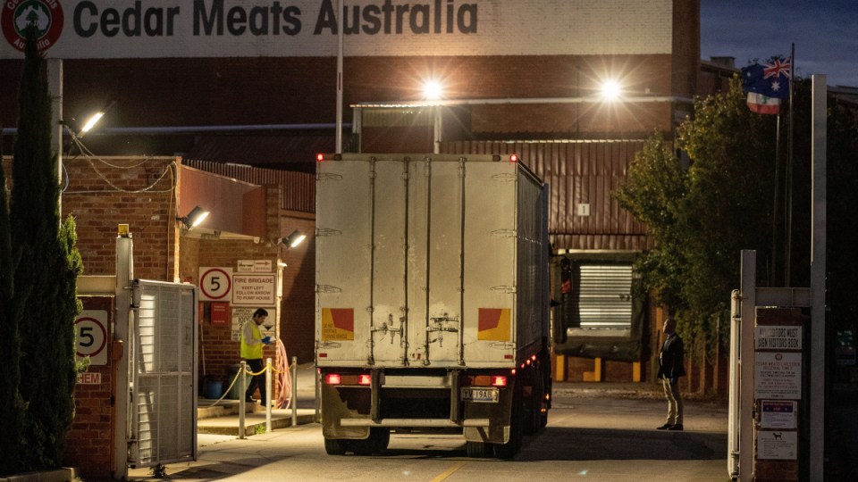 cedar meats cluster worst