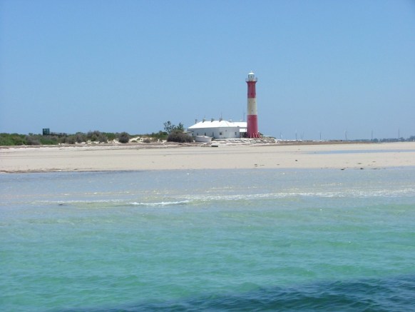 best of south australia
