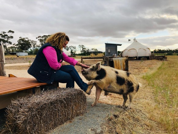 best of south australia