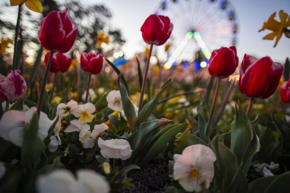 best of canberra