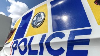 baby bin freemans bay