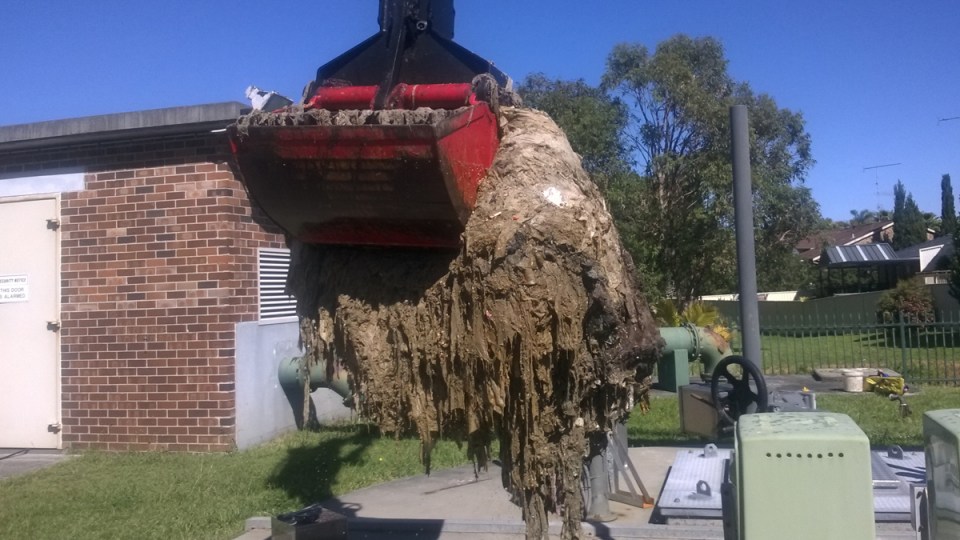 flushable wipes accc court