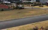 kangaroos killed south coast