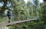 paparoa track new zealand