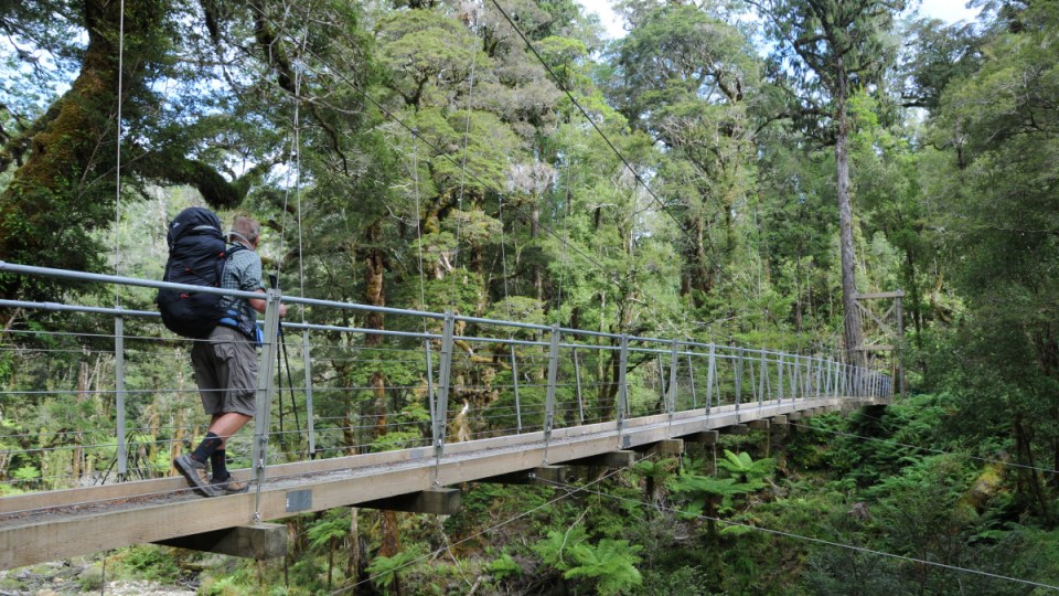 paparoa track new zealand