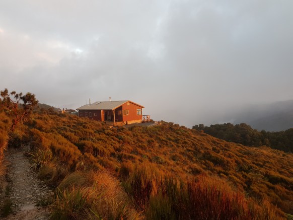 paparoa track new zealand