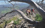 great walks australia