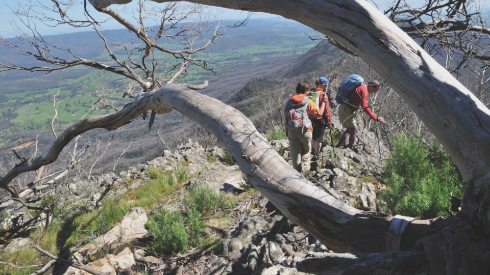 great walks australia