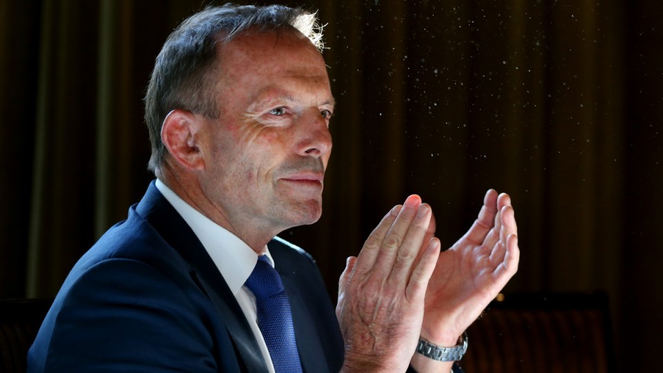 tony abbott coronavirus pay cut