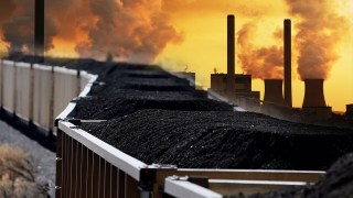 fossil fuels
