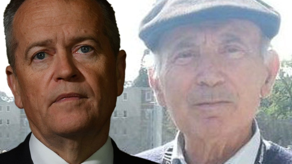 theo makridis Bill shorten
