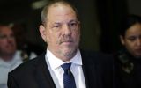harvey weinstein