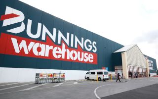 bunnings privacy