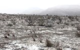 snow wilpena pound rain
