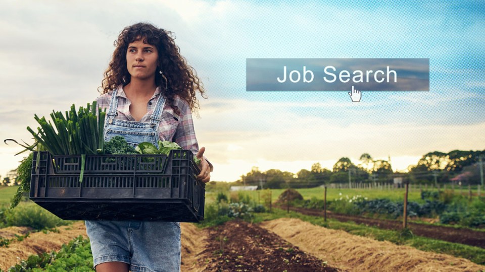 Farmers and unions are at odds over how to encourage local workers to take farm jobs.