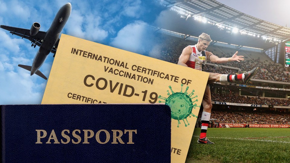 Vaccine passport risks
